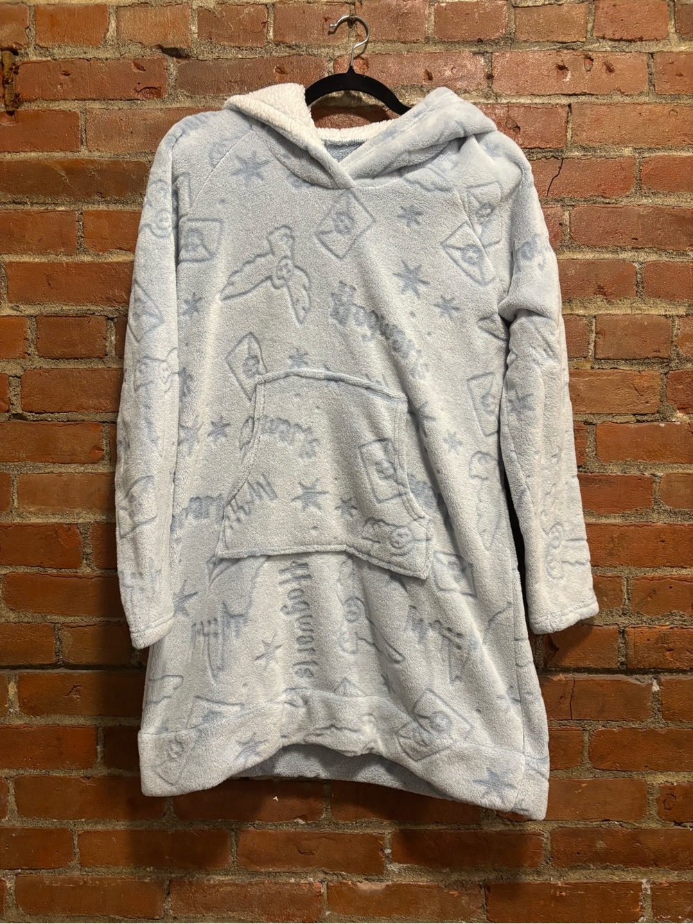 Cozy Hooded Fleece Tunic in Light Blue